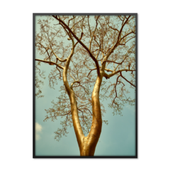 QUADRO GOLDEN TREE - comprar online