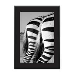 QUADRO BUMBUM DE ZEBRA - comprar online