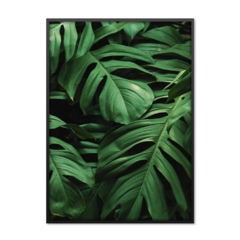 QUADRO MONSTERA III - comprar online