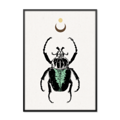 QUADRO MYSTICAL BEETLE - comprar online