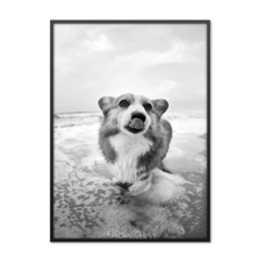 QUADRO DOG PRAIANO - comprar online