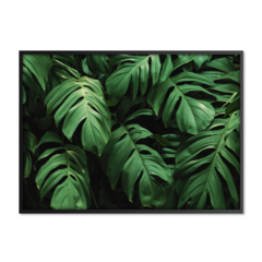 QUADRO MONSTERA I - comprar online