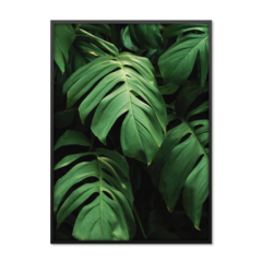 QUADRO MONSTERA II - comprar online