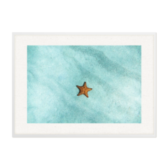 QUADRO ESTRELA DO MAR - comprar online