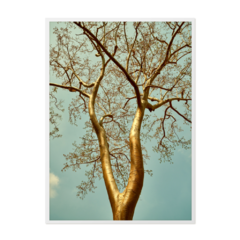 QUADRO GOLDEN TREE - comprar online