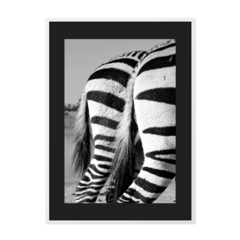 QUADRO BUMBUM DE ZEBRA - comprar online