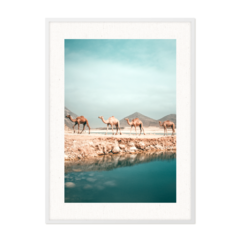 QUADRO DESERTO - comprar online