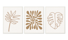 COMPOSIÇÃO 3 QUADROS | PLANTS - comprar online