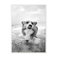 QUADRO DOG PRAIANO - comprar online