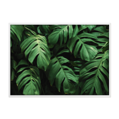 QUADRO MONSTERA I - comprar online