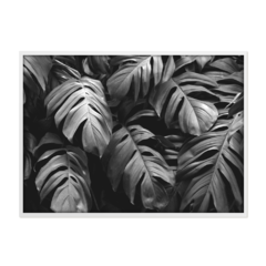 QUADRO MONSTERA PEB - comprar online