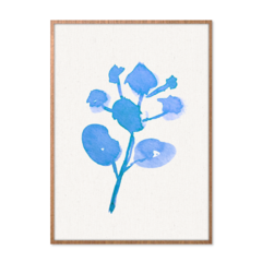 QUADRO BLUE PLANT I na internet