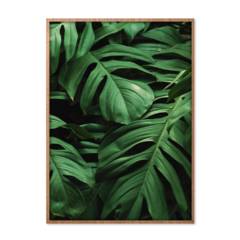 QUADRO MONSTERA III na internet