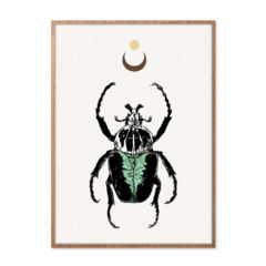 QUADRO MYSTICAL BEETLE na internet