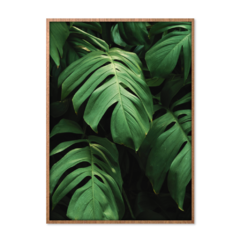 QUADRO MONSTERA II na internet