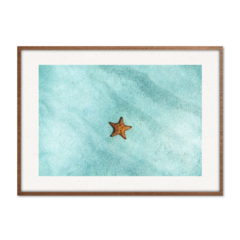 QUADRO ESTRELA DO MAR - corah.store