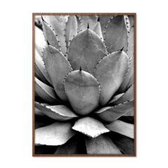 QUADRO AGAVE - corah.store