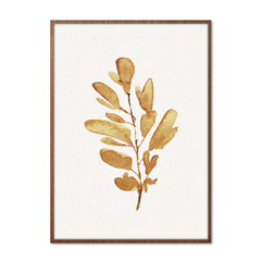 QUADRO GOLDEN PLANT - corah.store