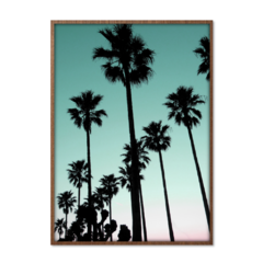 QUADRO PALMS - corah.store