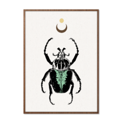 QUADRO MYSTICAL BEETLE - corah.store