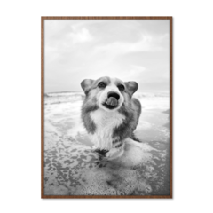 QUADRO DOG PRAIANO - corah.store