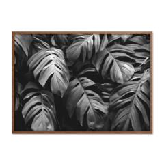 QUADRO MONSTERA PEB - corah.store