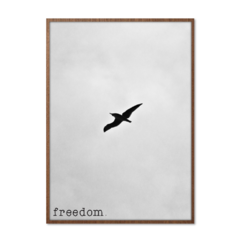 QUADRO FREEDOM - corah.store