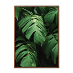 QUADRO MONSTERA II - corah.store