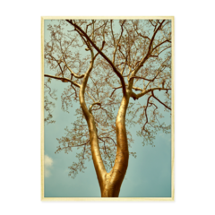 QUADRO GOLDEN TREE - loja online