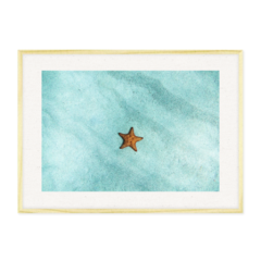 QUADRO ESTRELA DO MAR - loja online