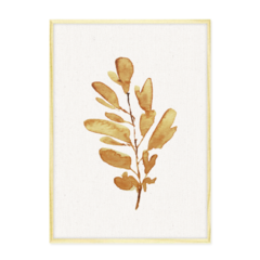 QUADRO GOLDEN PLANT - loja online