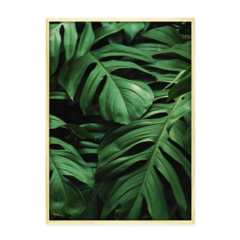 QUADRO MONSTERA III - loja online