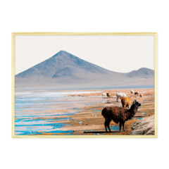 QUADRO ATACAMA - loja online