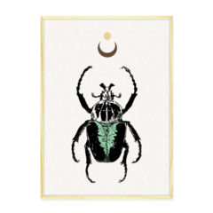 QUADRO MYSTICAL BEETLE - loja online