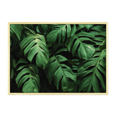 QUADRO MONSTERA I - loja online