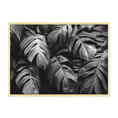 QUADRO MONSTERA PEB - loja online