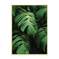 QUADRO MONSTERA II - loja online