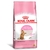 Ração Royal Canin Feline Health Nutrition Kitten Sterilised para Gatos Filhotes Castrados de 6 a 12 meses de idade