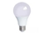 Bombilla LED 12W con Base E27 Luz Blanca Bivolt - comprar online