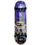 Skate Cisco PRO Montado - HDP purple