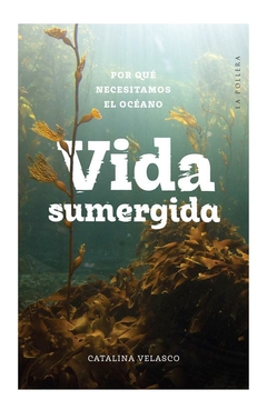 vida sumergida moises g. velasco la pollera ediciones