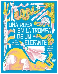 una rosa en la trompa de un elefante forte antonio limonero