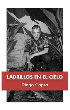 ladrillos en el cielo fritjof capra paisanita editora