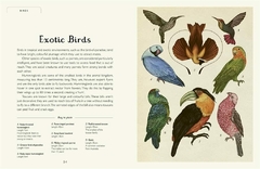 ANIMALIUM - Katie Scott / Jenny Broom -EDITORIAL OCEANO - tienda online