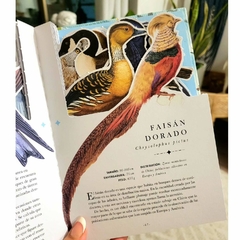 EL LIBRO - DIORAMA DE LAS AVES - Matt Merritt - EDITORIAL Folioscopio - tienda online