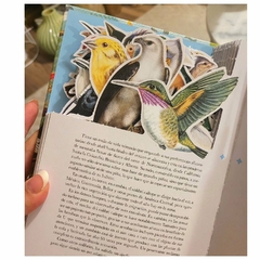 EL LIBRO - DIORAMA DE LAS AVES - Matt Merritt - EDITORIAL Folioscopio - Sr. Fox librería