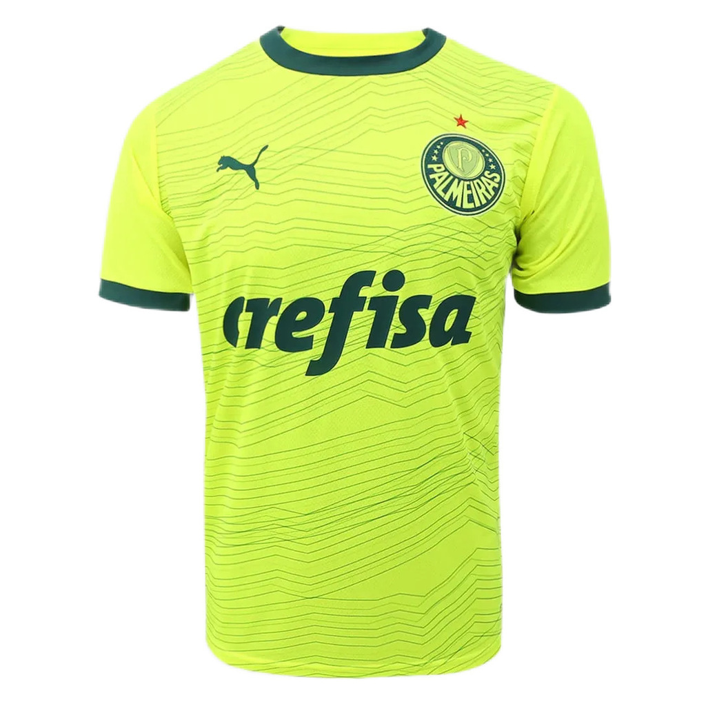 Camisa roxa hot sale palmeiras puma