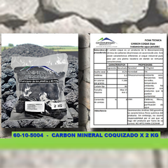 CARBON MINERAL COQUIZADO en internet