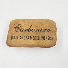 PIEDRA CARBONERO (CALIANDRA MAGDALENAE) - comprar online