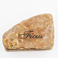 PIEDRA FICUS - comprar online